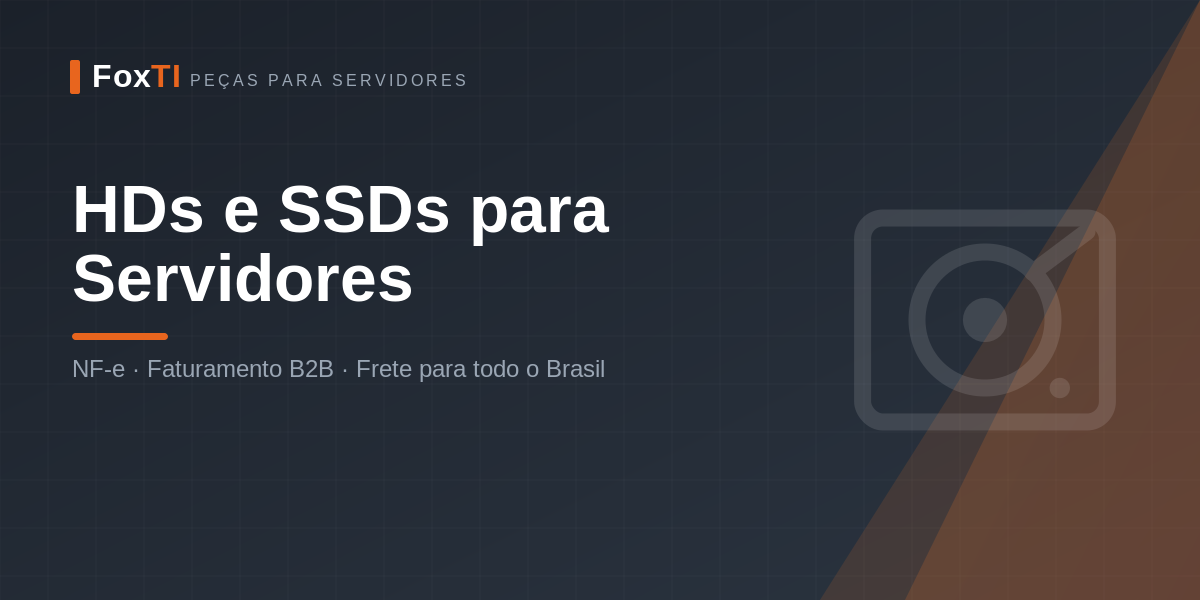 HDs e SSDs para Servidores — FoxTI
