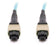 MTP-12 Female 12 Fibers OFNP/LSZH OM3 50/125 Multimode Elite Trunk Cable, Aqua