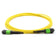 MTP-24 Female 24 Fibers LSZH OS2 9/125 Single Mode Elite Trunk Cable
