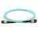 MTP-24  Female 24 Fibers LSZH OM4 50/125 Multimode Elite Trunk Cable