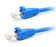 Cat6a Snagless Shielded (SFTP) PVC CMX Ethernet Network Patch Cable.Blue