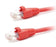 Cat6 Snagless Unshielded (UTP) PVC CM Ethernet Network Patch Cable, Red