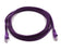 Cat6 Snagless Unshielded (UTP) PVC CM Ethernet Network Patch Cable, Purple