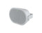 AXIS C1110-E White Network Cabinet Speaker (02695-001)