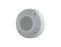 AXIS D4200-VE Network Strobe Speaker (02930-001)