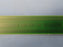 EMC Isilon Board Blade Connector Array w/ Cable NL400/X400 Series 415-0040-01