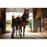 Canon Speedlite EL-5