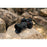 Tamron 17-50mm f/4 Di III VXD Lens (Sony E)