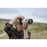 Sony a7CR Mirrorless Camera (Black)