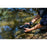 Sony RX10 V Digital Camera - PRE-ORDER