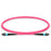 MTP-12 Female 12 Fibers LSZH OM4 50/125 Multimode Elite Trunk Cable, Magenta