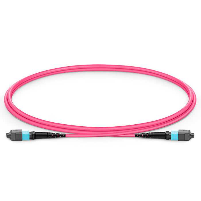 MTP-12 Female 12 Fibers LSZH OM4 50/125 Multimode Elite Trunk Cable, Magenta