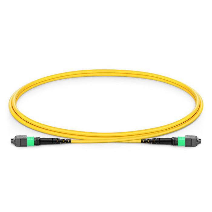 MTP-16 APC Female 16 Fibers Trunk Cable, OFNP/LSZH Single Mode (OS2) Patch Cable