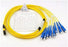 MPO-SC Fanout Single Mode MPO Fiber Breakout 3 Meters MPO Fanout Patch Cable