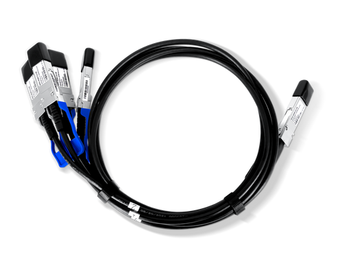 400G QSFP-DD to 4x100G QSFP56 Passive Direct Attach Copper Breakout Cable