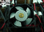 AVC 25x25x10mm 12V DC 0.04A Axial Cooling Fan