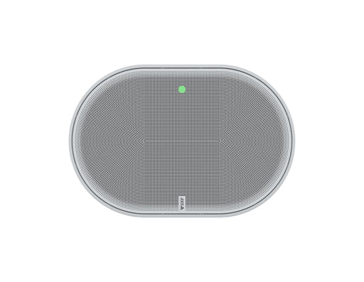 AXIS C1110-E White Network Cabinet Speaker (02695-001)