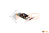 CTP20 (HIGH PROFILE)