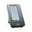 Cisco SPA500DS 15-Button Attendant Console Digital Expansion Module - Refurbished