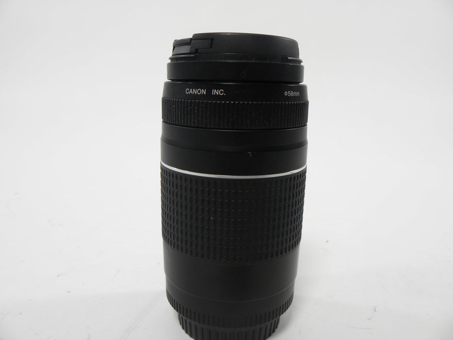 Canon EF 75-300mm f4-5.6 III