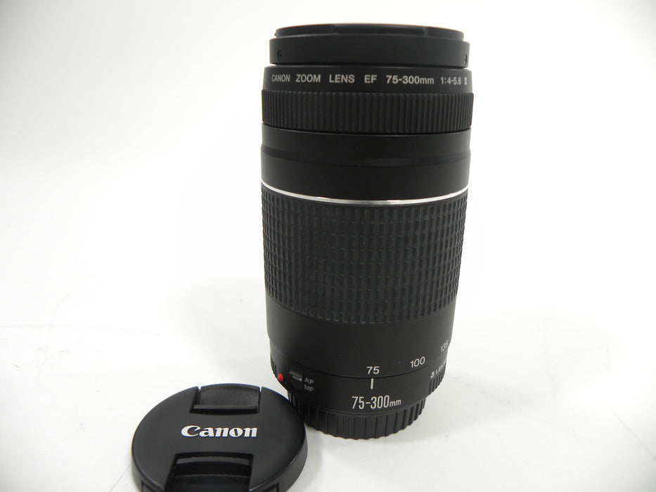 Canon EF 75-300mm f4-5.6 III