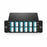 FHD 2x MTP®-12 Cassette, 24 Fibers OM4 MMF, 2x 12F MTP® to 12x LC Duplex, 0.35dB max