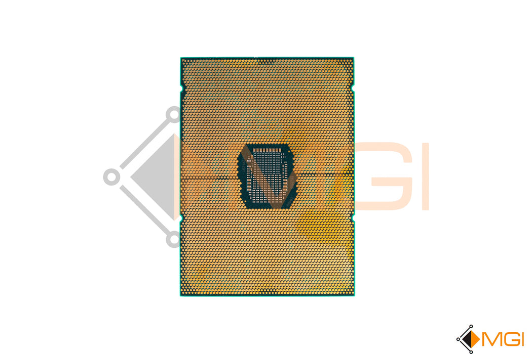 GOLD 6330 // SRKHM