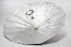 Paul C Buff PLM 45in Silver Umbrella with White Diffusion Fabric