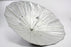 Paul C Buff PLM 45in Silver Umbrella