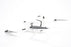 Insta360 Antigravity A1 Drone Fly More Combo