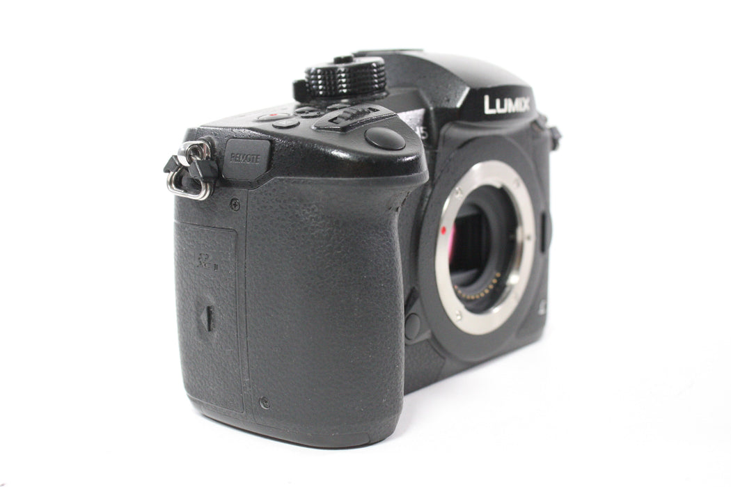 Panasonic Lumix GH5 Digital Mirrorless Camera Body with Shutter Count 3,806