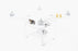 DJI Phantom 3 Professional W323A Drone  AS-IS