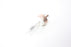 Radiac EPR 500W 120V Tungsten Halogen Lamp