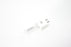 Ushio GCA 250W 120V Halogen Lamp