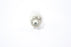 Sylvania EHT 250W 120V 2000Hrs Tungsten Halogen Lamp