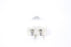 Radiac EHA 500W 120V Tungsten Halogen Lamp