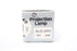 GE DLD/DFZ  80W 30V Projection Lamp