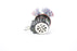 Radiac ELE/ELT 80W 30V Tungsten Halogen Lamp