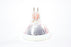 Radiac FHS 300W 82V Tungsten Halogen Lamp