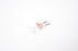Radiac FHD 10W 6V Tungsten Halogen Lamp