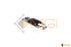 LPE1250 HIGH PROFILE