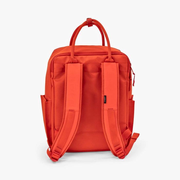 Langly Sierra Camera Backpack
