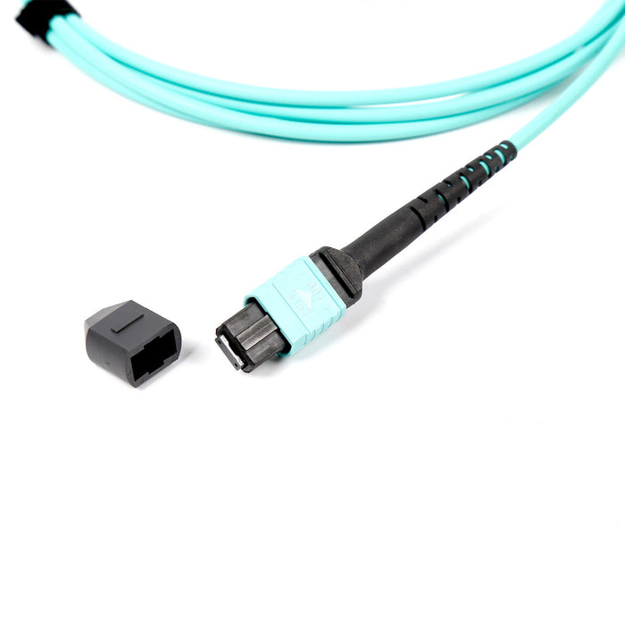 NSComm MPO 12F to 2xMPO 4F APC Breakout Cables, 8 Fibers, Multimode (OM3), OFNR, Low Loss, Polarity Type B