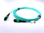NVIDIA MFP7E10-N005 5M Passive Multimode Fiber Cable — MPO-12/APC to MPO-12/APC
