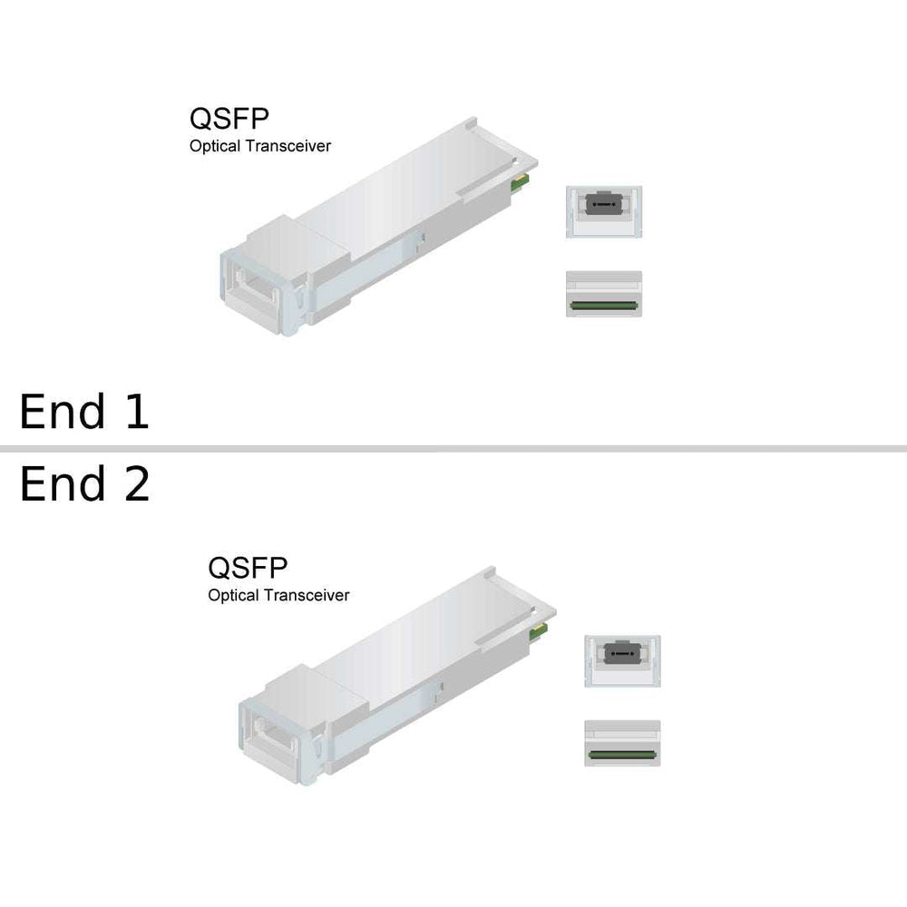Netapp MPO to MPO 30M Data Cable | X66200-30-N