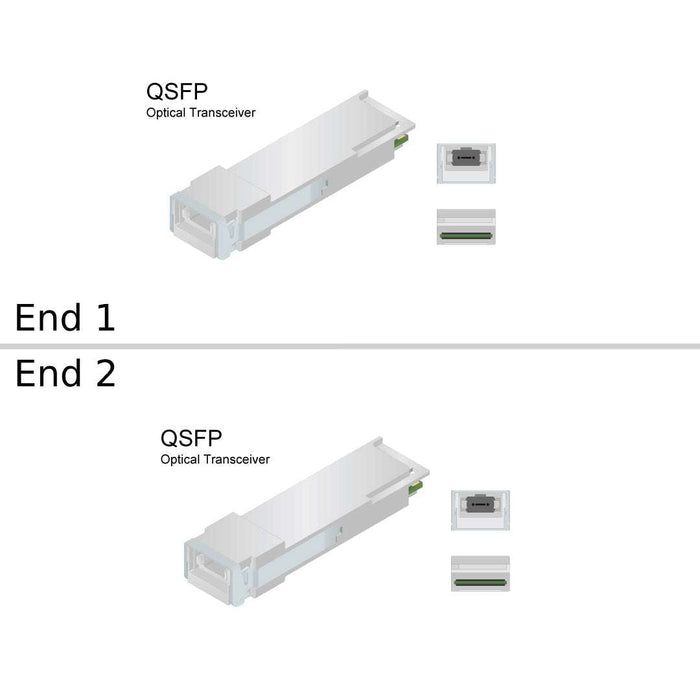 Netapp MPO to MPO 30M Data Cable | X66200-30-N