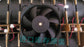 Nidec D12E-12PG 12V DC 120x120x38mm Brushless Cooling Fan