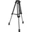 OZEN 75CF2 75mm 2-Stage Tripod