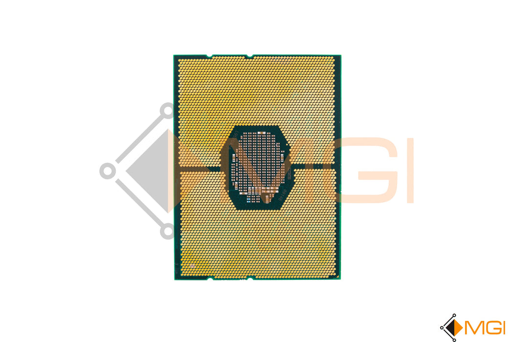 GOLD 6242 // SRF8Y