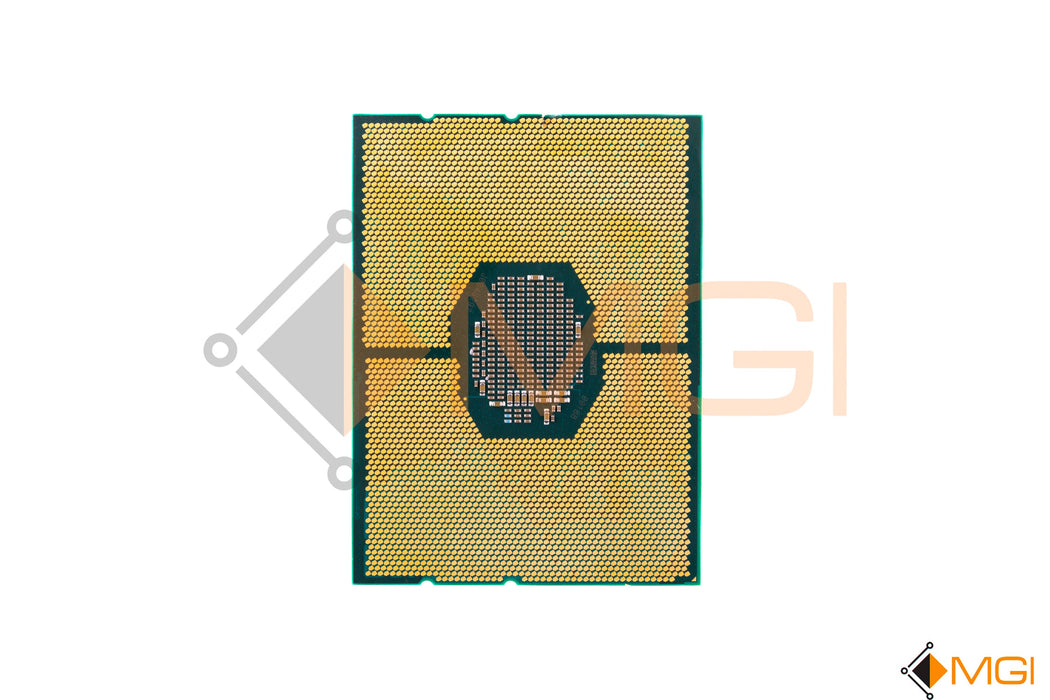 GOLD 6248 // SRF90 (DAMAGED)